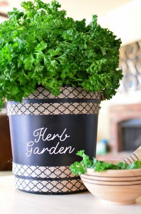 Making an Herb Garden from Upcycled / Repurposed Bucket