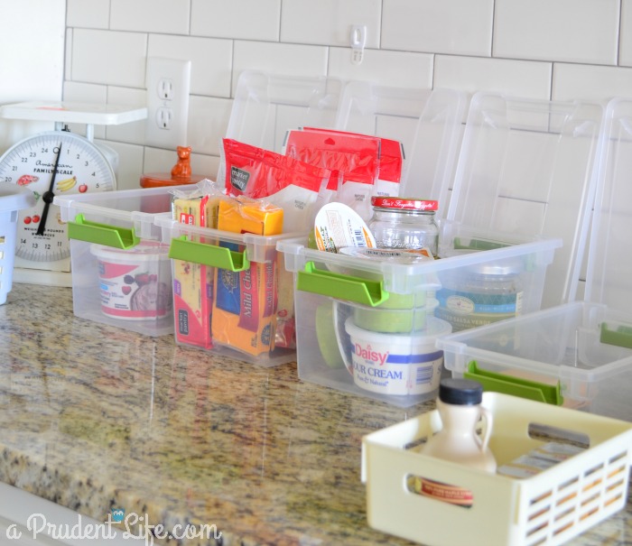 Organizing Fridge Contents into Bins