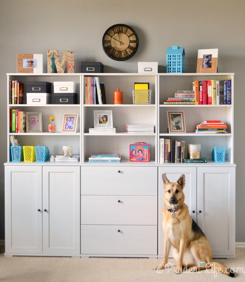 Bookcases in Office