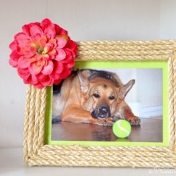 Quick & Simple Flower & Rope Frame Tutorial