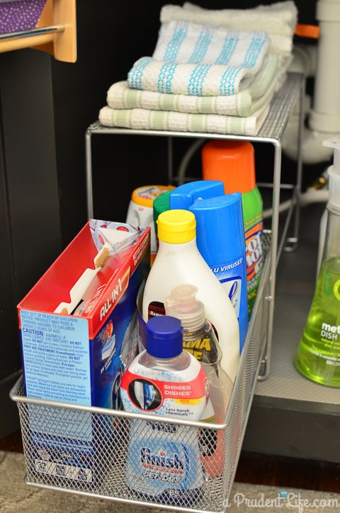 Under Sink Organization-17