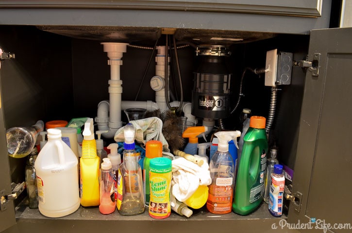 5 Keys to Great Under Sink Organization (BEFORE PHOTO)