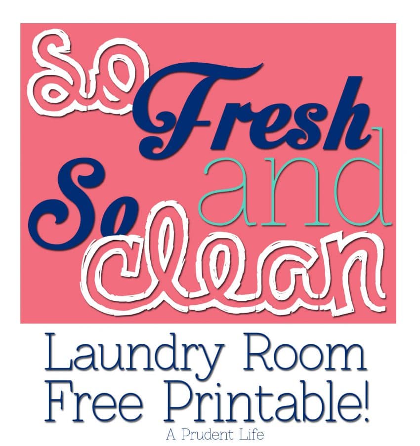 Free laundry room printable - So Fresh and So Clean