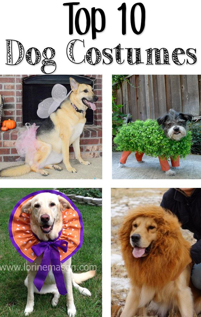 Top 10 Dog Costumes