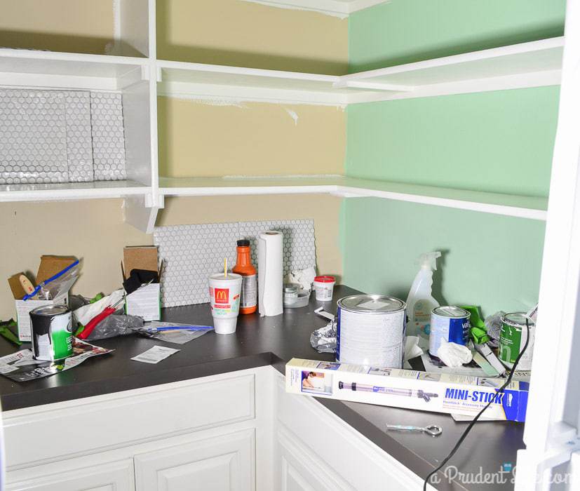 Pantry Makeover - One Room Challenge Week 2 Progress Report