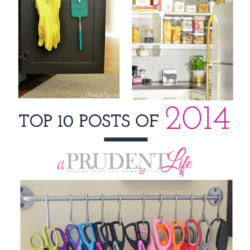 Most popular posts of the year from A Prudent Life - have you seen all 10?