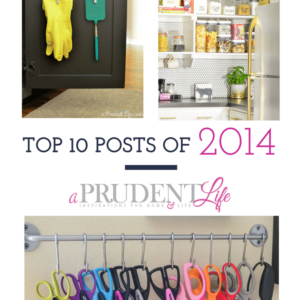 Most popular posts of the year from A Prudent Life - have you seen all 10?