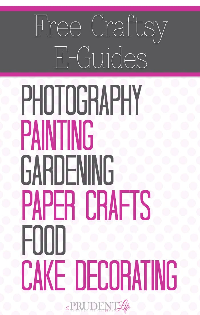 Learning a new skill doesn't have to cost anything! Craftsy is offering free guides for  all kinds of creative hobbies. The photography one is excellent! 