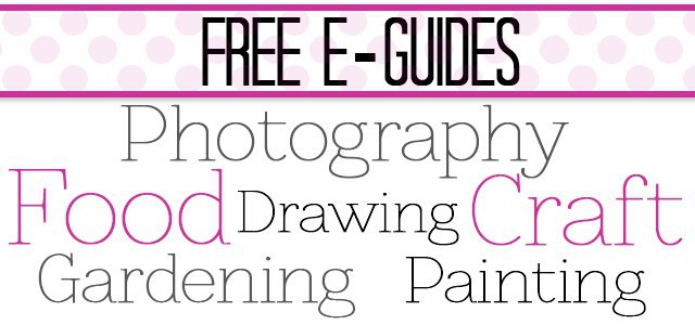 Learning a new skill doesn't have to cost anything! Craftsy is offering free guides for all kinds of creative hobbies. The photography one is excellent!