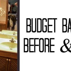 Budget Bathroom Makeover