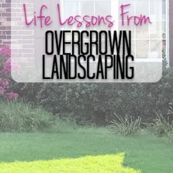 See the before & after photos of our overgrown landscaping AND read about the life lessons I uncovered and we pulled away all the weeds.