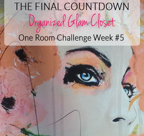 Week #5 of #6 in a crazy DIY closet makeover - art by Leigh Viner