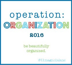 operation-organization2016-250x225-1