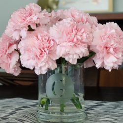 Pink Carnations