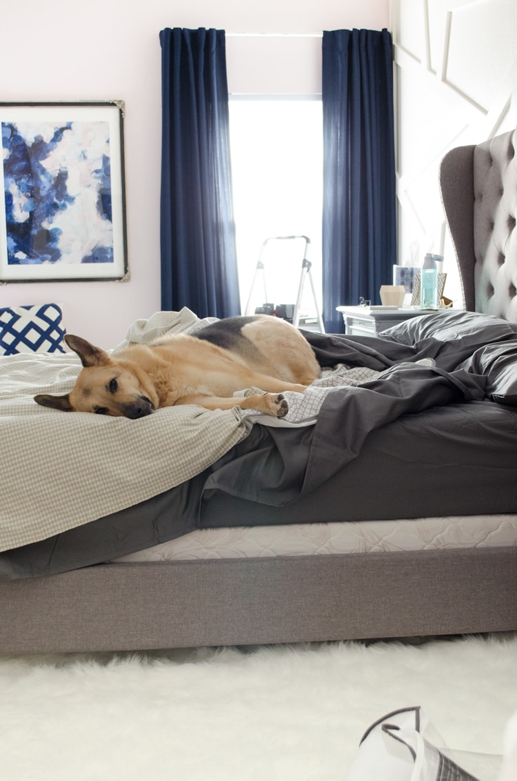 Polished Habitat Glam Master Bedroom