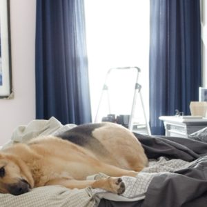 Glam Master Bedroom by Polished Habitat