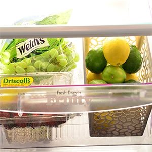 Refrigerator Organization Ideas