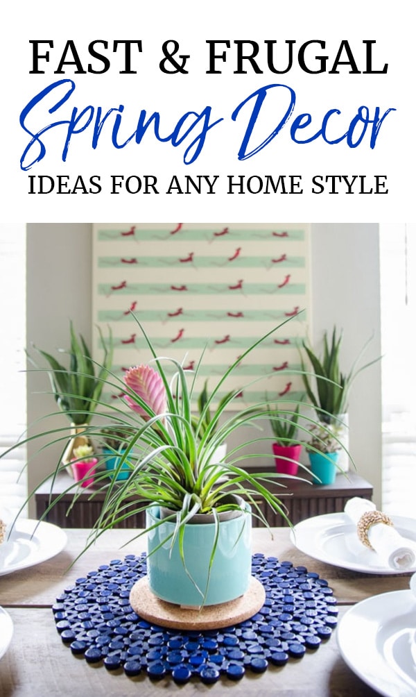 Plants as decor for spring