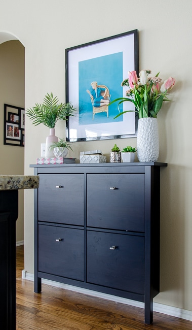 14 Ways To Use an IKEA Shoe Cabinet For Extra Kitchen Storage