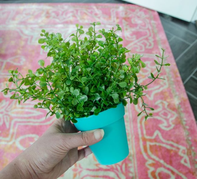 Faux 'Planting' Tips {Fast Fix Friday 1} Polished Habitat