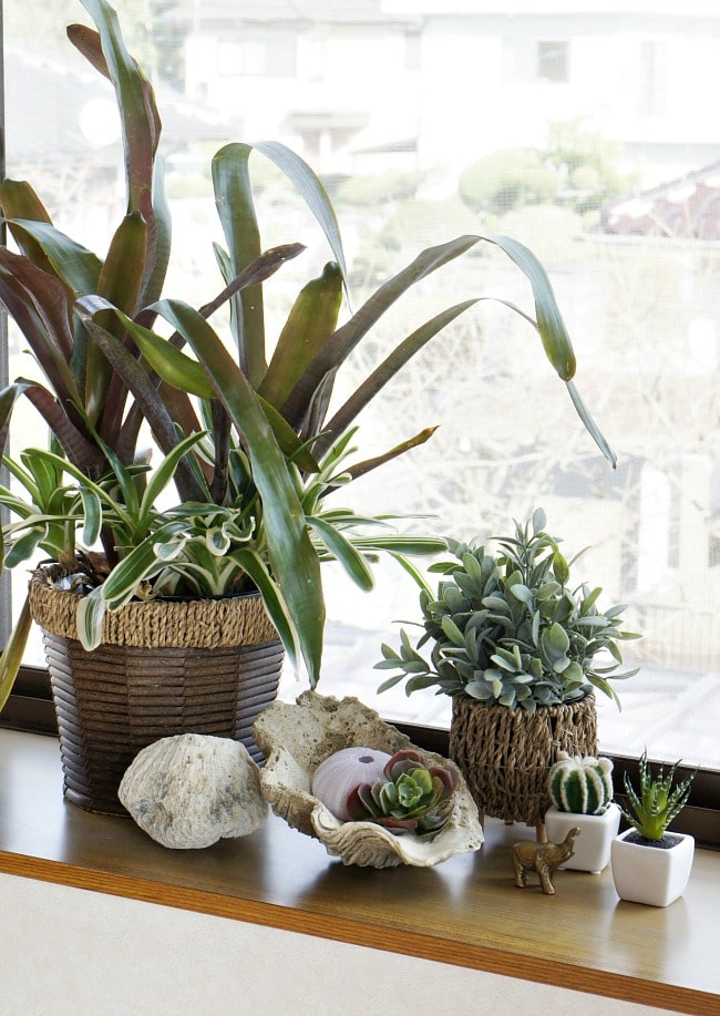 add plants to make your rental look more permanent 