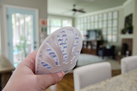 Catch fruit flies with no mess and no chemicals