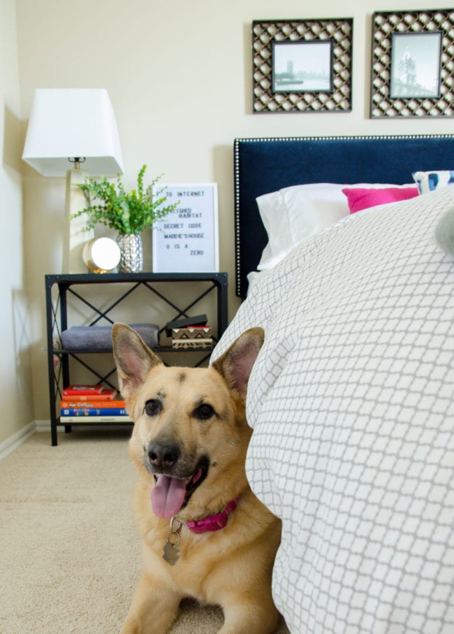 Keep pets out of your guest room before arrival and during the guest stay. Click for more tips for hosting overnight guests.