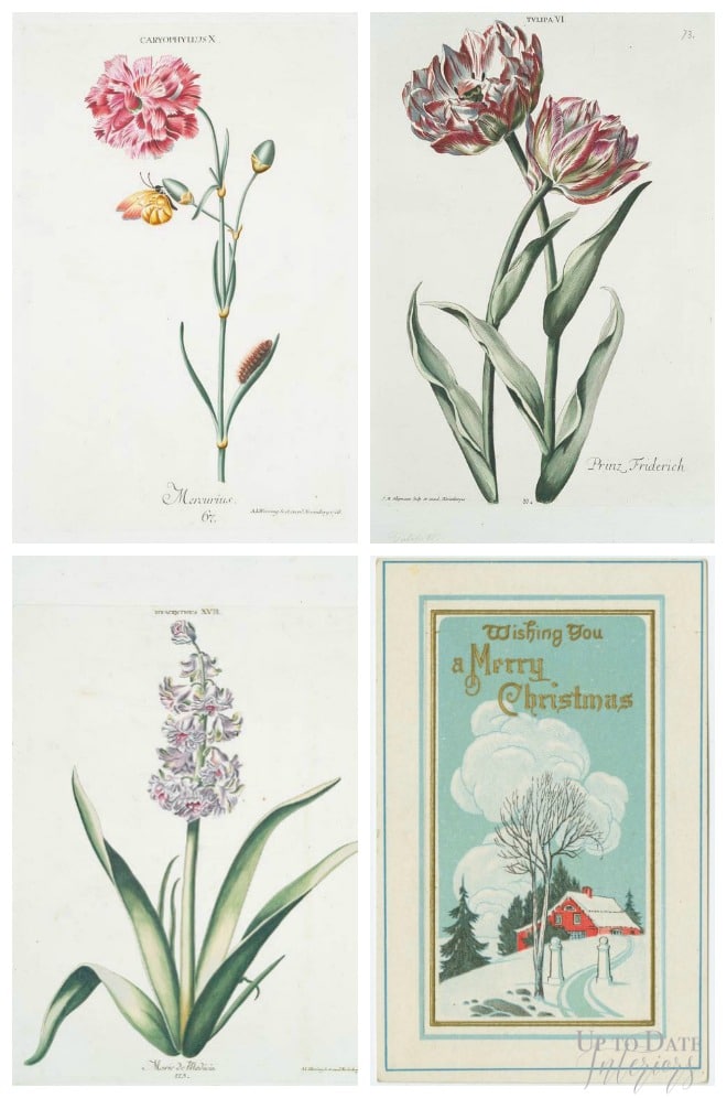 Free botanical and vintage postcard art