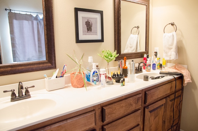 How to Organize The Bathroom Counter & Tub Surround - Polished Habitat