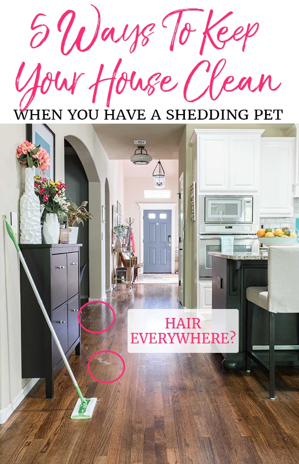 Keeping A Clean House When You Have A Shedding Dog Polished Habitat