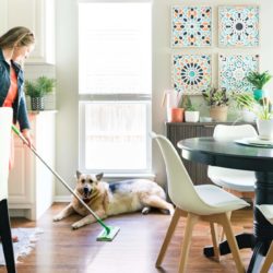 Wood floors being cleaned from dog hair with Swiffer