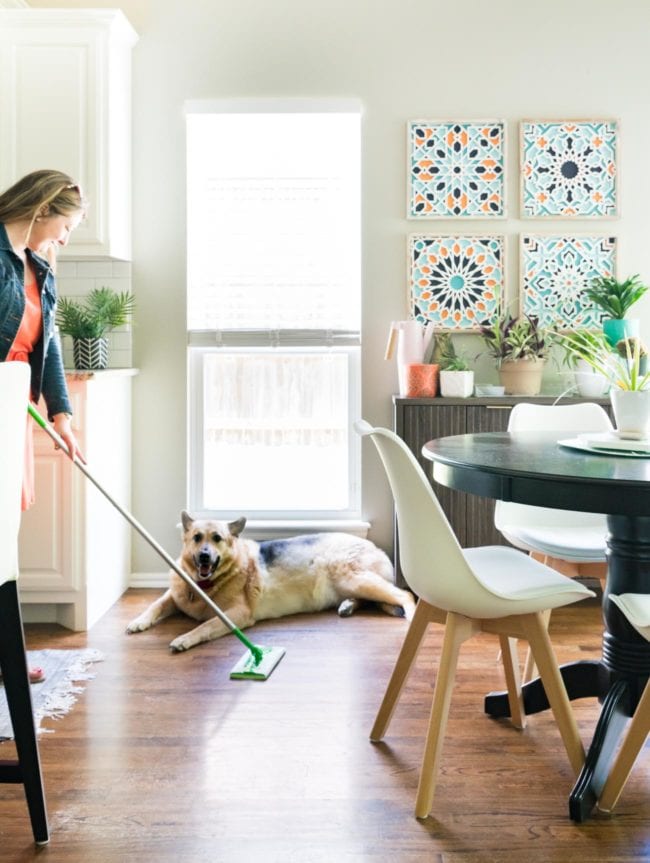 Wood floors being cleaned from dog hair with Swiffer