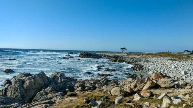 Rocky beach along 17 Mile Drive