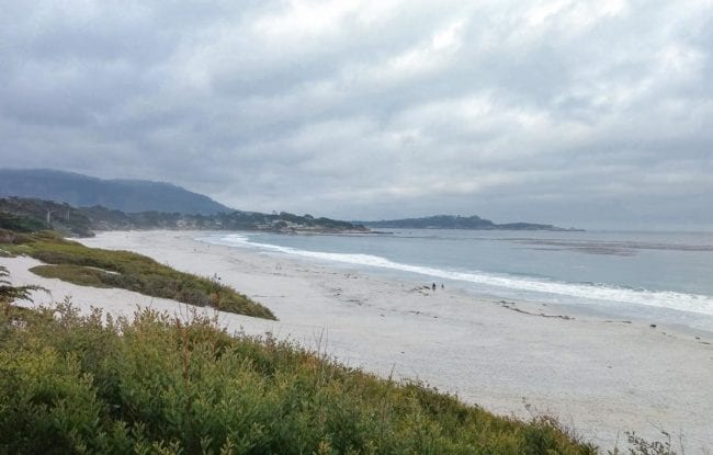 Wide, quiet, dog-friendly beach 