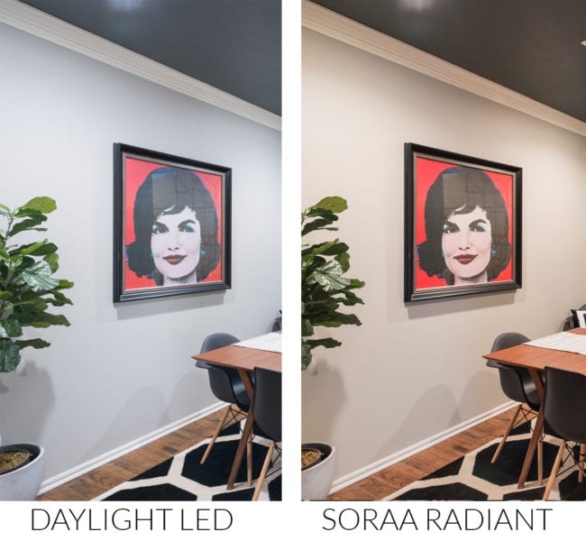 Comparison of Daylight LED bulb to Soraa Radiant lightbulbs