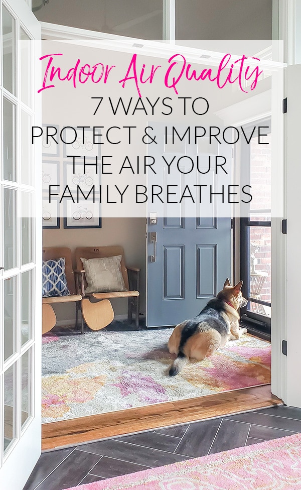 7 Ways to Protect & Improve the Air Your Family Breathes