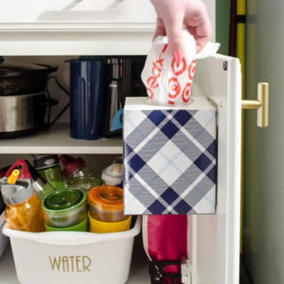 Storage for Plastic Grocery Bags on the Back of a Cabinet Door using a Kleenex Box