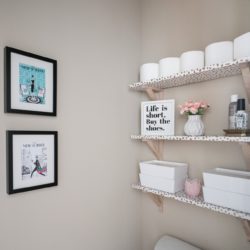 3 Shelves on wall in water closet above toilet