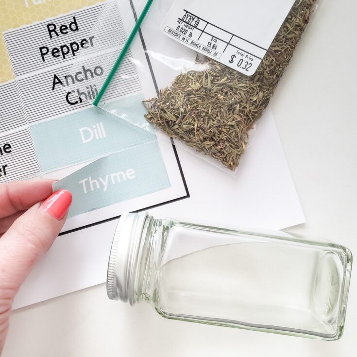 Image for How to Organize Spices in a Drawer {Cricut Print Then Cut Labels Included}