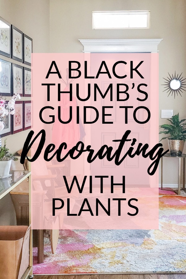 A Black Thumbs Guide to Decorating with Plants