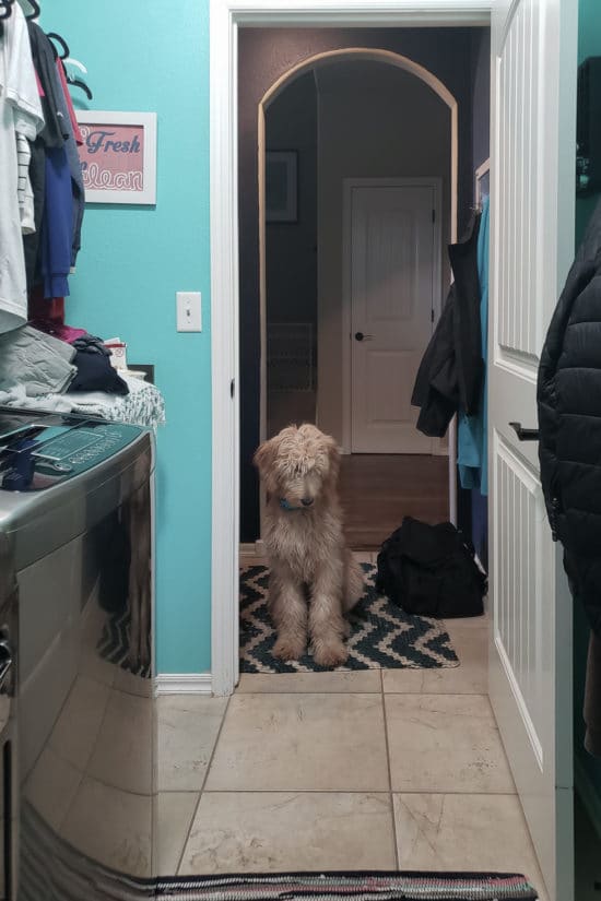 Messy Laundry Room 