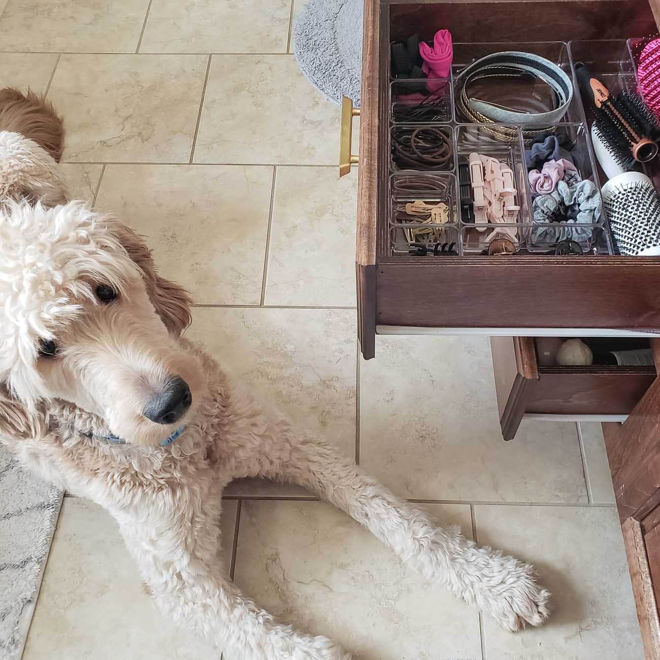 How to Organize Bathroom Drawers (Including the Best Bathroom