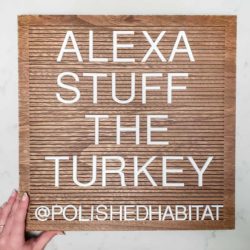 Wood Letter Board - Alexa Stuff the Turkey