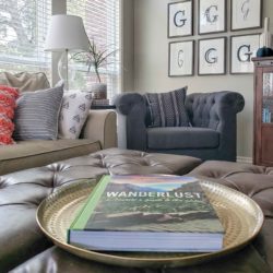 Living room witih leather ottomans & gold tray for coffee table books.