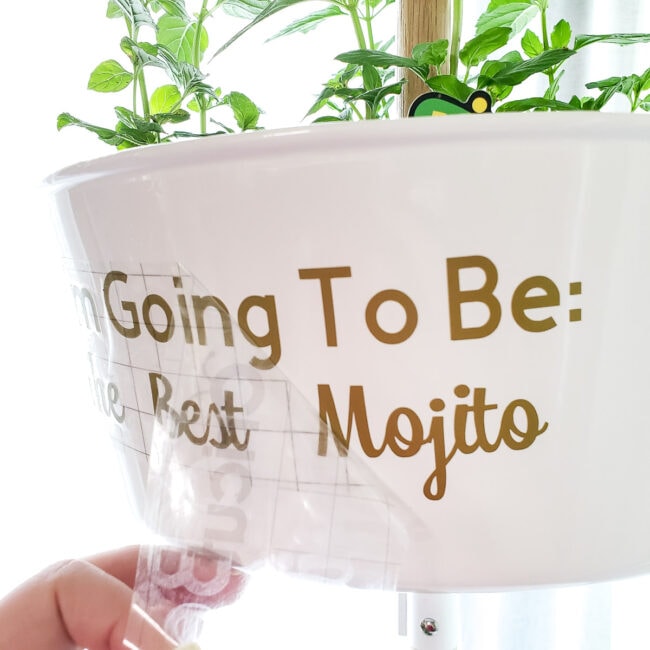 applying gold vinyl letters to white hanging planter