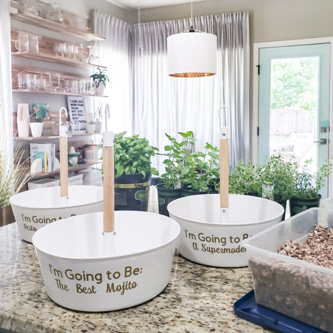 2 round white planters on kitchen counter